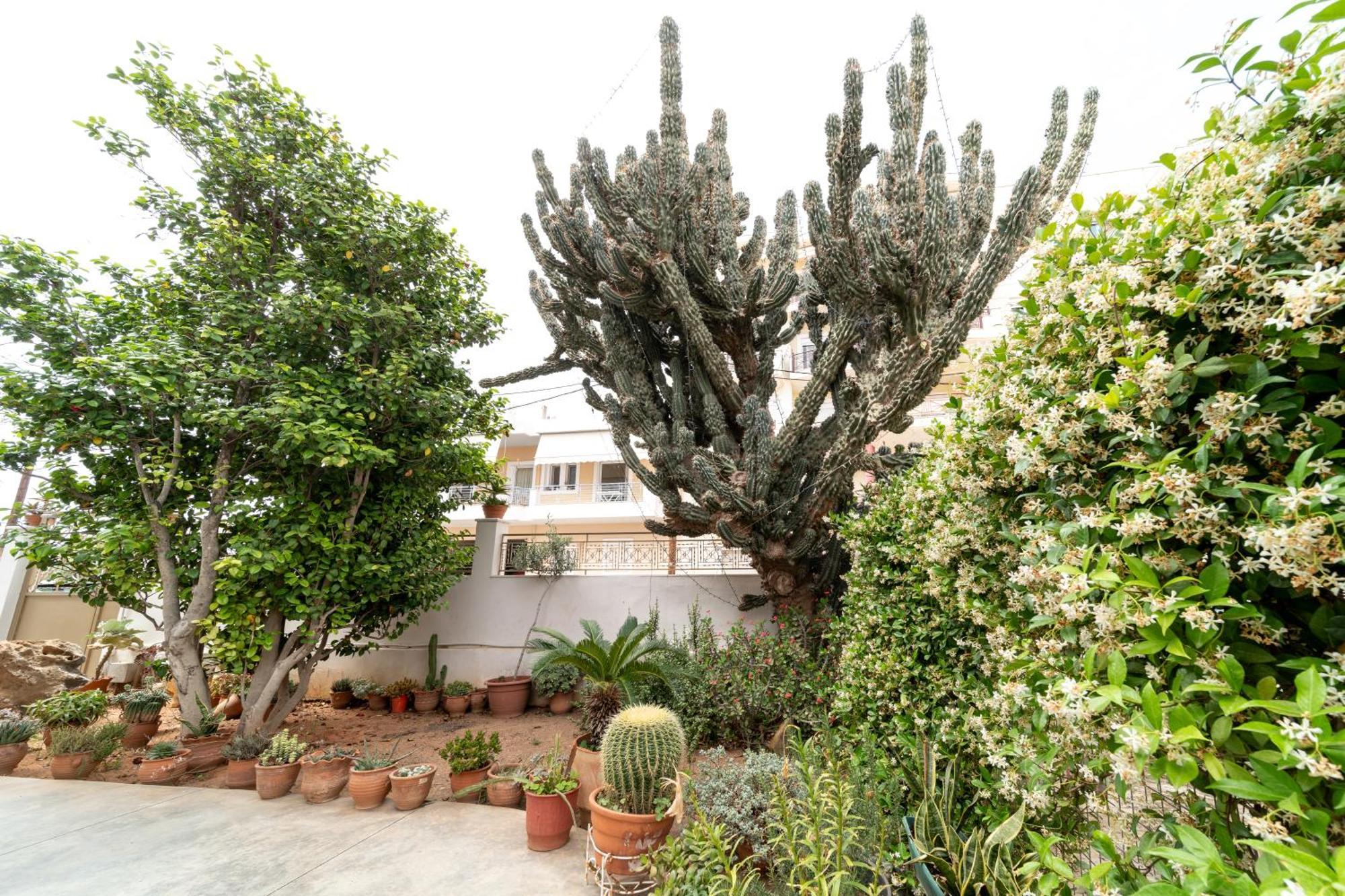Cactus - Blooming Garden Apartments 칼라마타 외부 사진